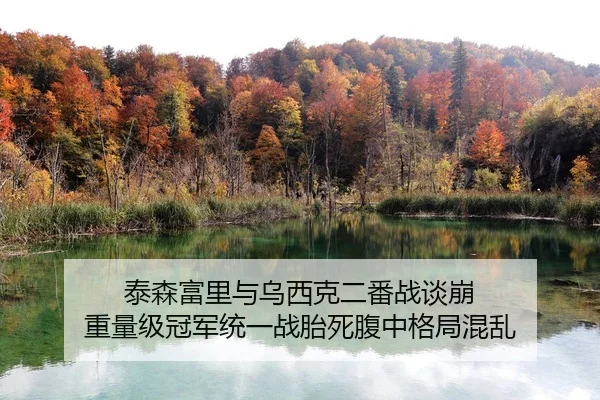 tai-sen-fu-li-yu-wu-xi-ke-er-fan-zhan-tan-beng-zhong-liang-ji-guan-jun-tong-yi-zhan-tai-si-fu-zhong-ge-ju-hun-luan-2-231.jpg